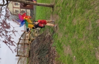 IMG_20240321_110704