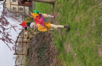IMG_20240321_110758