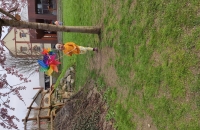 IMG_20240321_110813