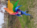 IMG_20240321_105738