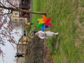 IMG_20240321_110038