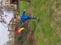 IMG_20240321_110208