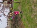 IMG_20240321_110228