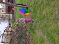 IMG_20240321_110408