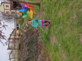 IMG_20240321_110442