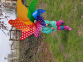IMG_20240321_110443