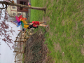 IMG_20240321_110704
