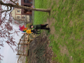 IMG_20240321_110722