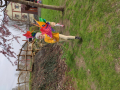 IMG_20240321_110758