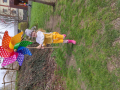 IMG_20240321_110854