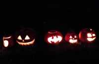 462543805_1235329517691060_8352728300945398676_n