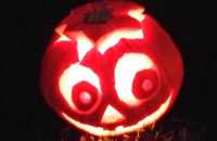 462553568_1482613305672033_520075621864769048_n