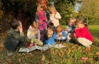 IMG-20231029-WA0002