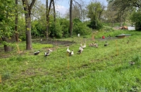 WhatsApp Image 2024-04-26 at 06.01.25