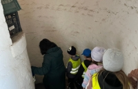 WhatsApp Image 2024-04-26 at 06.01.31