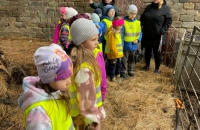 WhatsApp Image 2024-04-26 at 06.01.32