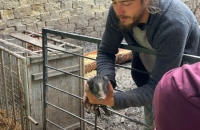 WhatsApp Image 2024-04-26 at 06.01.34