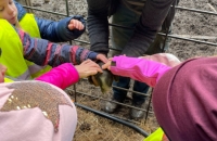 WhatsApp Image 2024-04-26 at 06.01.34(1)