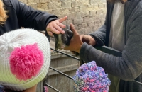 WhatsApp Image 2024-04-26 at 06.01.36