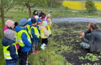 WhatsApp Image 2024-04-26 at 06.01.39(1)