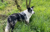 WhatsApp Image 2024-04-26 at 06.02.20(3)