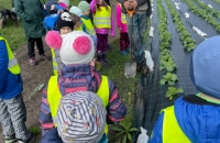 WhatsApp Image 2024-04-26 at 06.02.40(2)