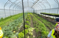 WhatsApp Image 2024-04-26 at 06.02.40(7)