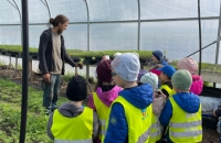 WhatsApp Image 2024-04-26 at 06.02.43