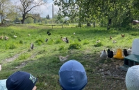 WhatsApp Image 2024-04-26 at 06.02.43(1)