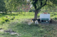 WhatsApp Image 2024-04-26 at 06.02.43(2)