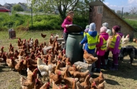 WhatsApp Image 2024-04-26 at 06.02.48(3)