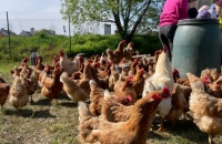 WhatsApp Image 2024-04-26 at 06.02.50