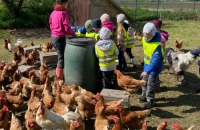 WhatsApp Image 2024-04-26 at 06.02.50(1)