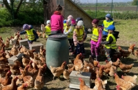 Farma Mezi poli- Den Země