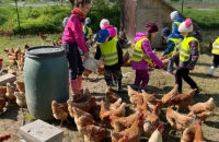 WhatsApp Image 2024-04-26 at 06.02.52