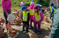 WhatsApp Image 2024-04-26 at 06.02.53