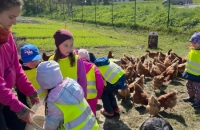 WhatsApp Image 2024-04-26 at 06.02.55