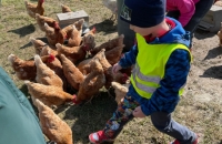 WhatsApp Image 2024-04-26 at 06.02.56