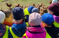 WhatsApp Image 2024-04-26 at 06.02.57