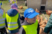 WhatsApp Image 2024-04-26 at 06.02.58