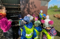 WhatsApp Image 2024-04-26 at 06.03.08(1)