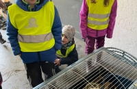 WhatsApp Image 2024-04-26 at 06.03.16