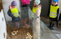 WhatsApp Image 2024-04-26 at 06.03.16(1)