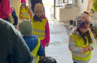 WhatsApp Image 2024-04-26 at 06.03.16(2)