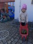 IMG-20250321-WA0016