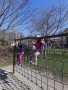 IMG-20250321-WA0019