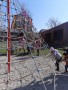 IMG-20250321-WA0020