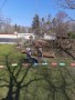 IMG-20250321-WA0027