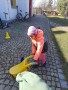 IMG-20250321-WA0033
