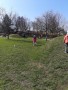 IMG-20250321-WA0050